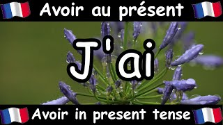 AVOIR To Have Conjugation Song  Present Tense  French Conjugation  Le Verbe AVOIR [upl. by Fae]