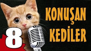 Konuşan Kediler 8  En Komik Kedi Videoları [upl. by Salem916]