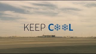 Keep Cool with Etihad Cargo  Perishable Cargo Handling at Abu Dhabi Airport [upl. by Yrahca560]