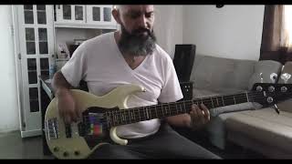 Alguien te va a hacer llorar  Intocable  Bass Cover [upl. by Ssitruc]