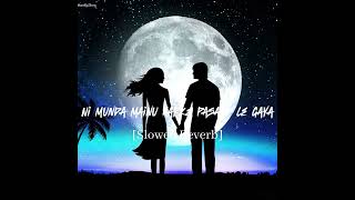 Ni Munda Mainu Karke Pasand Le GayaSlowed ReverbGot Committed  Mithiya Galla Ch Kar Band Le Gaya [upl. by Clara564]