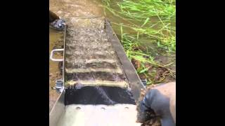 Gold prospecting Nugget Lake Wisconsin [upl. by Nnairak]