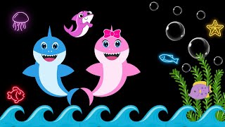 Baby Bear  Baby Shark Family  Baby Sensory [upl. by Yelsew734]