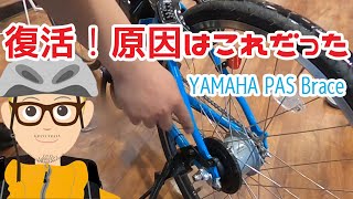 復活！原因はこれだった 。。。YAMAHA PAS Brace [upl. by Demaria]