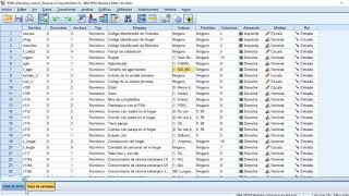 Introducción al SPSS 4 Filtrar y ponderar bases de datos [upl. by Brynne]