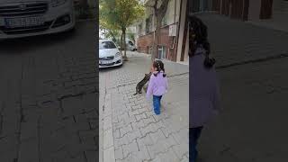 Kedi Asel KIZ dan saklandı GEL PİSİ PİSİ keşfet shots cat kedi funny cute [upl. by Judson]