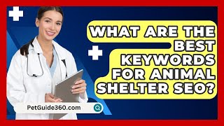 What Are the Best Keywords for Animal Shelter SEO  PetGuide360com [upl. by Reema47]