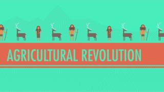 The Agricultural Revolution Crash Course World History 1 [upl. by Vigor384]