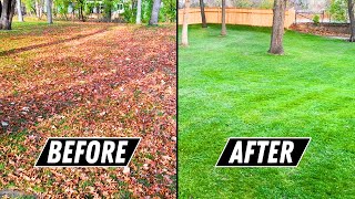 How to Beat LEAVES in the Fall Leaf Cleanup on HUGE Yard Made EASY [upl. by Anawik644]