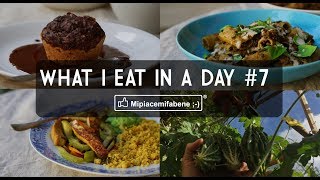 What I Eat in a Day 7  Piatti Completi Veganfriendly [upl. by Eecak178]