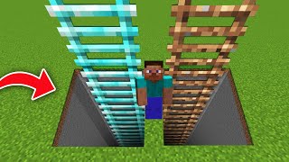 BIGGEST LADDER TO CHOOSE DIAMOND VS DIRT in MINECRAFT [upl. by Llenor]