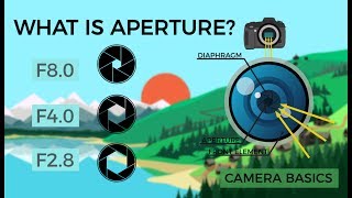 Camera Basics  Aperture [upl. by Merriott]