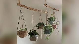 🌿🌺💮Ideas De Decoracion En Troncos De Madera Con Plantas Para Sala [upl. by Latreese300]