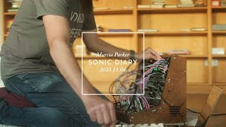 Sonic Diary  Vermona PerFourmer  Mannequins Mangrove  XOR NerdSEQ  Strymon Starlab amp Magneto [upl. by Harold]