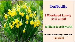 Daffodils  I Wandered Lonely as a Cloud  William Wordsworthdaffodilswordsworthsummaryanalysis [upl. by Jacki]