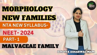 Morphology of flowering plants  new families  MALVACEAE  neet 24  class11 biology  part 1 [upl. by Jaunita]