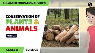 Conservation Of Plants And Animals  Part 12  Class 8 Science Chapter 7  TicTacLearn English [upl. by Handel158]