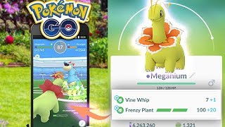 IS MEGANIUM with FRENZY PLANT WORTH POWERING UP Pokemon Go [upl. by Elaen]