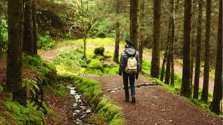 forest footsteps sound effect  walking in forest sound effect  copyright free sound effects [upl. by Nauqaj]