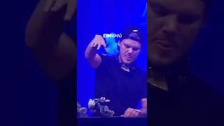 Avicii live at Tomorrowland 2015 [upl. by Ijnek]