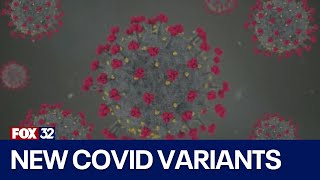 New COVID FLiRT variants spread across US Heres what you need to know [upl. by Chamberlain]