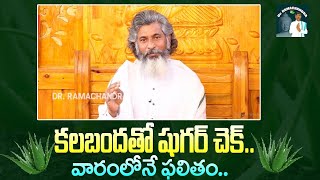 కలబందతో షుగర్ చెక్ వారంలోనే ఫలితం  Aloe Vera For Sugar Control  DR Ramachandra Channel [upl. by Aileme]