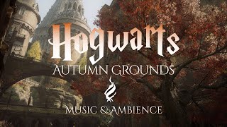 Fall Grounds at Hogwarts  Harry Potter Music and Ambience from Hogwarts Legacy [upl. by Frentz328]