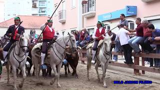 AZAMBUJA SEMPRE ANDAR quotO TEIMOSOquot ENTRADA DE TOIROS DOMINGO 28 DE MAIO 2017 [upl. by Eustashe136]