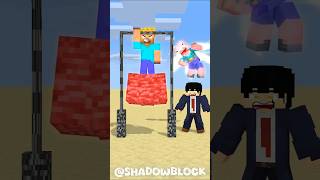 HELP HEROBRINE TO POWER UP WITH BEDROCK shorts minecraft music animation anime [upl. by Rydder]