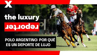 Polo argentino por qué es el mejor del mundo [upl. by Koball12]