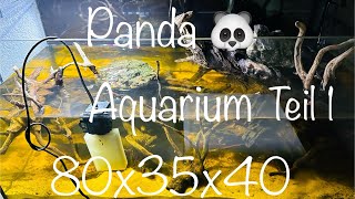 80x35x40 Aquarium für Pandas aquarium aquaristik [upl. by Elie]