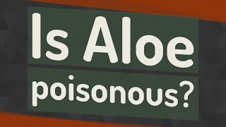 Is Aloe poisonous [upl. by Haik876]