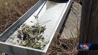 Louisiana shrimper survives being stranded by sailing home on a makeshift raft [upl. by Ileana]