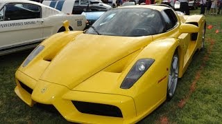 2003 Ferrari Enzo with rare factory yellow paint  My Car Story with Lou Costabile [upl. by Auhsej]