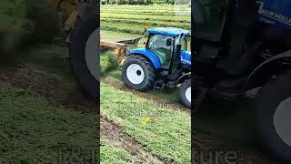 Grass Cutting and Processing Procedure Part 1 shorts grass fermentation agriculture farming [upl. by Lexerd348]