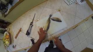 rapala fillet knife vs rapala ELECTRIC fillet knife [upl. by Noruq]