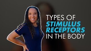 What are the Different Types of Stimulus Receptors in the Body [upl. by Enyleve]