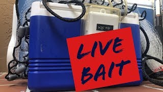 How to make a Live Bait Well  DIY Project [upl. by Buna300]