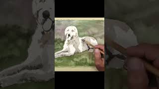 Mondo Cane  Zoe the Doodle  watercolor full video on YouTube channel animalsketching music dog [upl. by Eelsha]