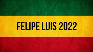 Melo de Felipe Luis 2022 Sem Vinheta Meddy  Slowly Reggae Remix [upl. by Mina]