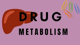 PHASES OF DRUG METABOLISM  DIFFERENCE BETWEEN MICROSOMAL amp NON MICROSOMAL ENZYME [upl. by Yellat644]