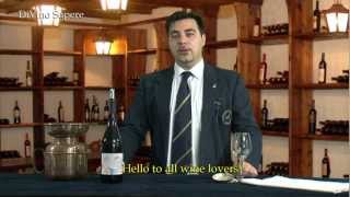 Valpolicella Classico Superiore Ripasso DOC 2009 Antolini  Videodegustazione Online wine tasting [upl. by Leidag689]