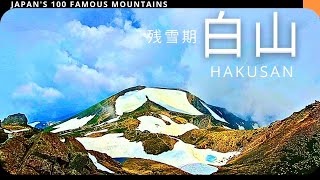 【白山登山】美しい高山植物が咲く絶景ルート！！【日本百名山】【花の百名山】【日本三霊山】【日本三名山】白山登山絶景 [upl. by Uund]