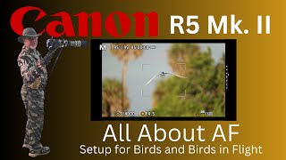 Canon R5 Mk II  All About Auto Focus for Birds and Birds in Flight Photography [upl. by Erdrich271]