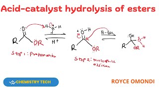 ACIDCATALYSED HYDROLYSIS OF ESTERS hydrolysis esterification [upl. by Gee819]