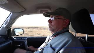 Thousands of tarantulas migrating across Colorado roads [upl. by Eetnod551]