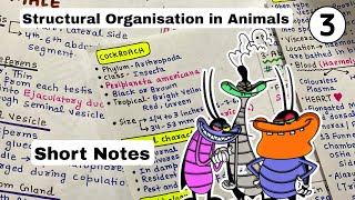 Structural organisation in Animals  Cockroach  Short Notes  NEET 2025 [upl. by Skipp]