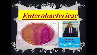 Enterobacteriaceae quotMedical Microbiologyquot [upl. by Roseanna544]