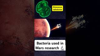 Bacteria with Guiness Record😱🤯🤯 [upl. by Junia981]