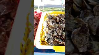 Marché Hebdomadaire à Saint Etienne [upl. by Nref]